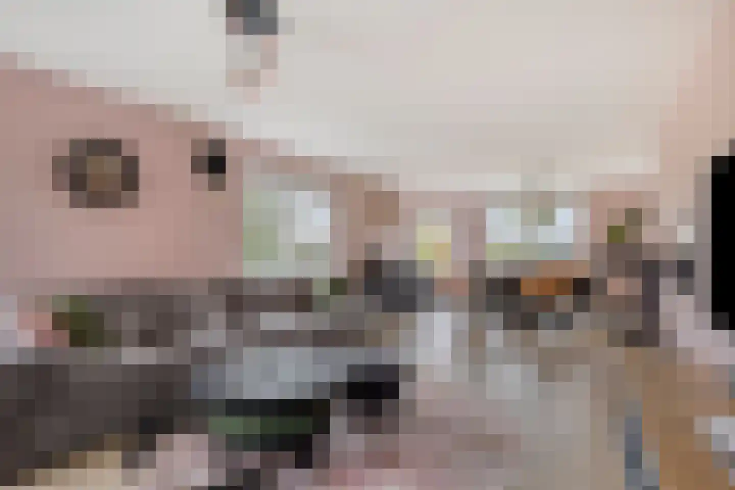 Halve Raak 35 Boskoop thumbnail 4