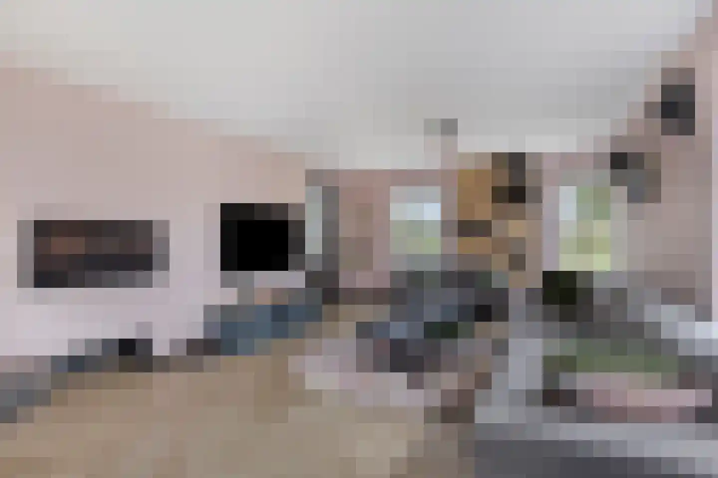 Halve Raak 35 Boskoop thumbnail 5