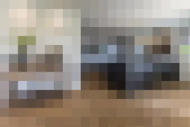 Halve Raak 49 Boskoop thumbnail 11