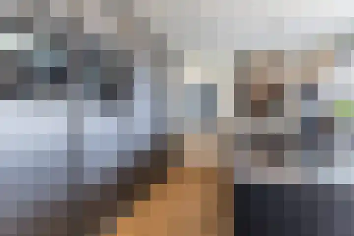 Halve Raak 49 Boskoop thumbnail 13