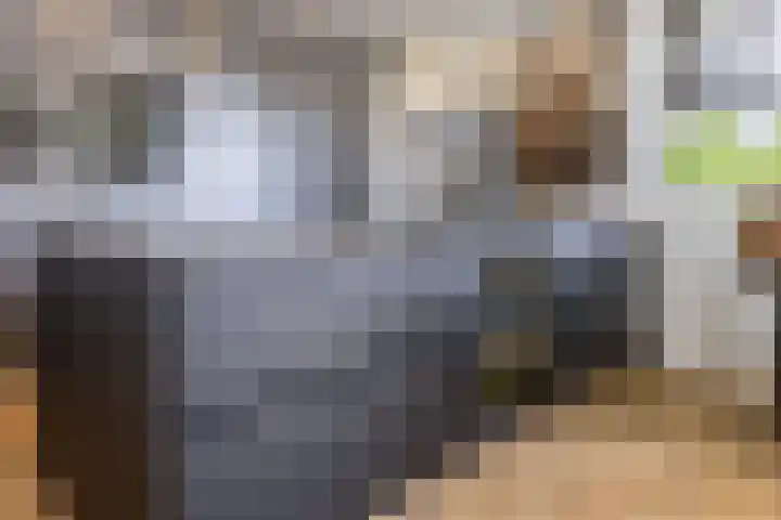 Halve Raak 49 Boskoop thumbnail 15