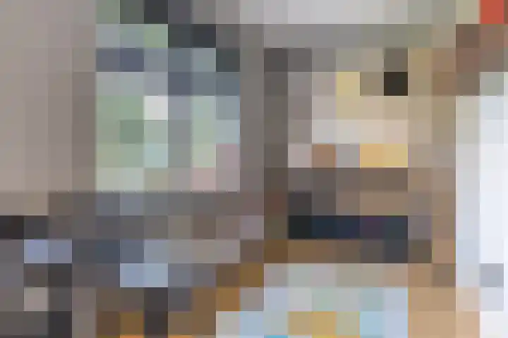 Halve Raak 49 Boskoop thumbnail 16