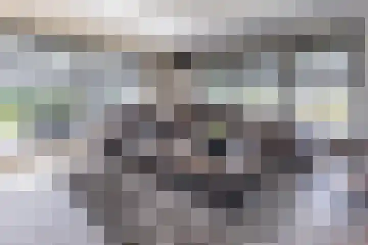 Halve Raak 49 Boskoop foto 2