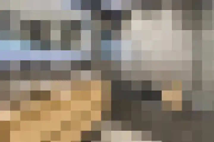 Halve Raak 49 Boskoop thumbnail 20