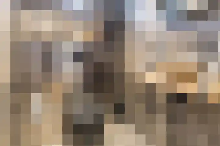 Halve Raak 49 Boskoop thumbnail 23