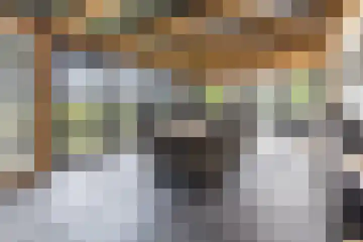 Halve Raak 49 Boskoop thumbnail 25