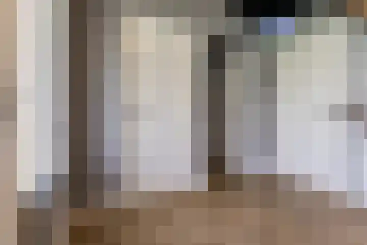 Halve Raak 49 Boskoop thumbnail 27