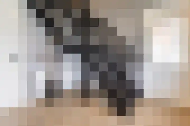 Halve Raak 49 Boskoop thumbnail 28