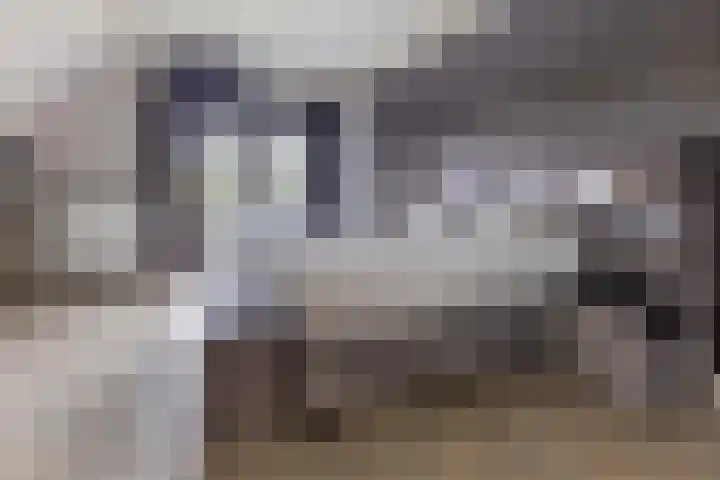 Halve Raak 49 Boskoop thumbnail 29