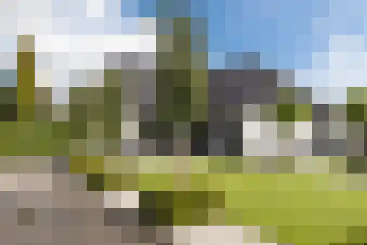 Halve Raak 49 Boskoop foto 3