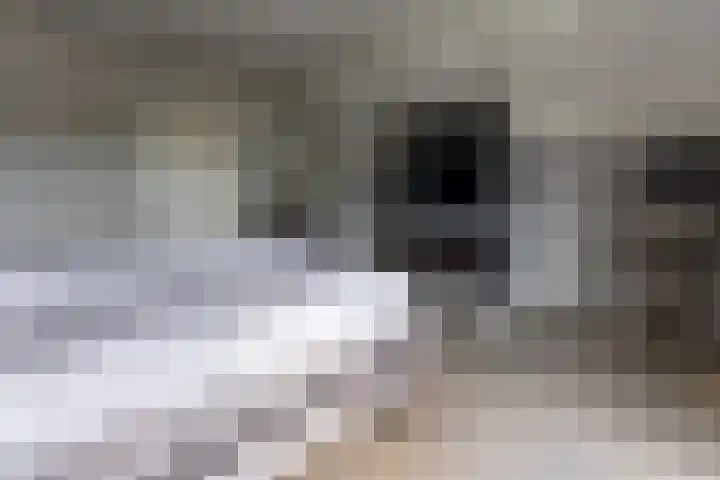 Halve Raak 49 Boskoop thumbnail 30
