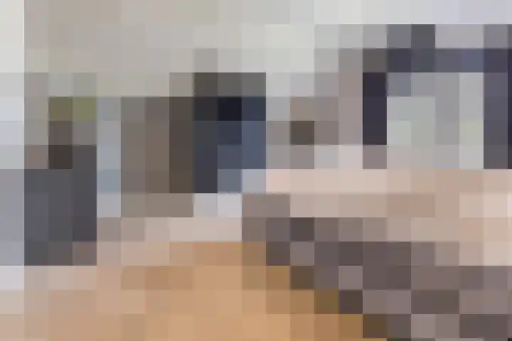 Halve Raak 49 Boskoop thumbnail 33