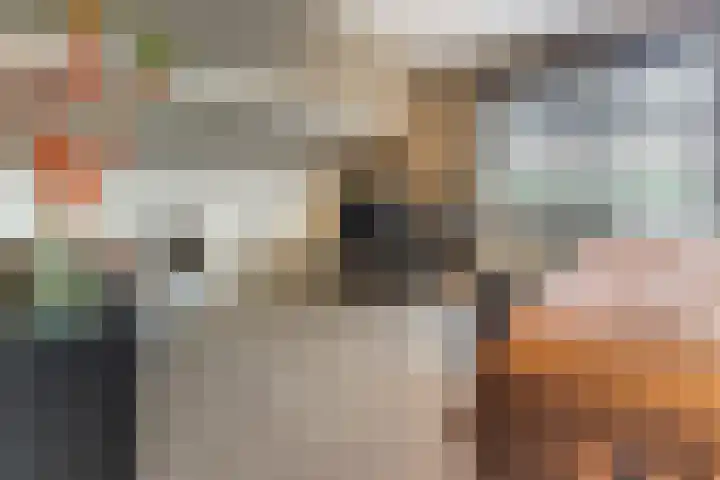Halve Raak 49 Boskoop thumbnail 34