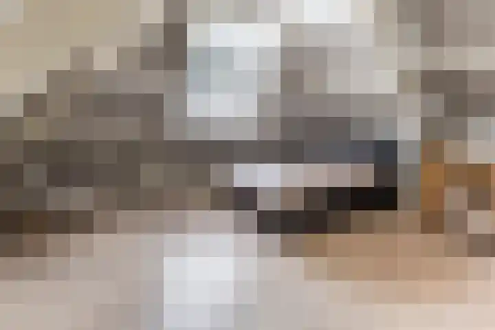 Halve Raak 49 Boskoop thumbnail 37