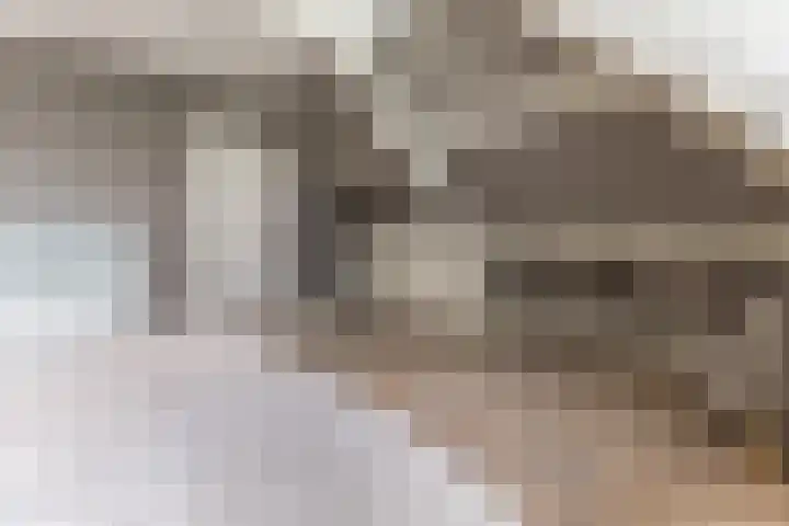 Halve Raak 49 Boskoop thumbnail 38