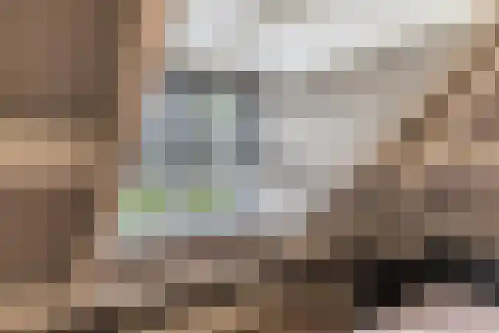 Halve Raak 49 Boskoop thumbnail 39