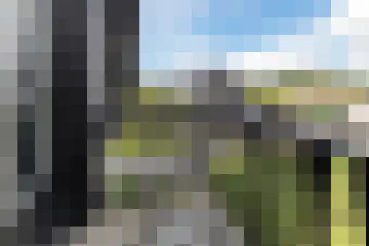 Halve Raak 49 Boskoop thumbnail 48