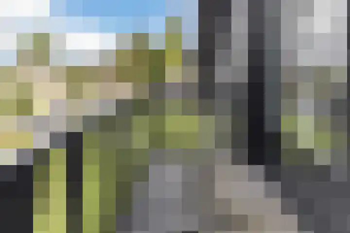 Halve Raak 49 Boskoop thumbnail 49