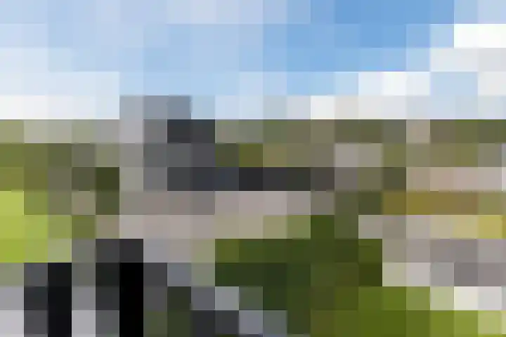 Halve Raak 49 Boskoop thumbnail 50