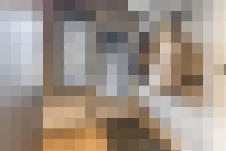 Halve Raak 49 Boskoop thumbnail 51