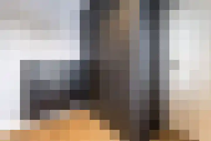 Halve Raak 49 Boskoop thumbnail 52