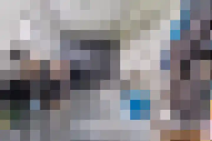 Halve Raak 49 Boskoop thumbnail 54