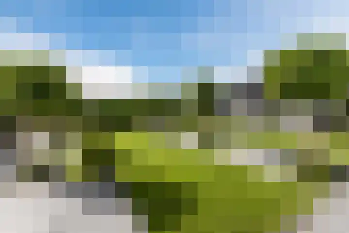 Halve Raak 49 Boskoop thumbnail 56