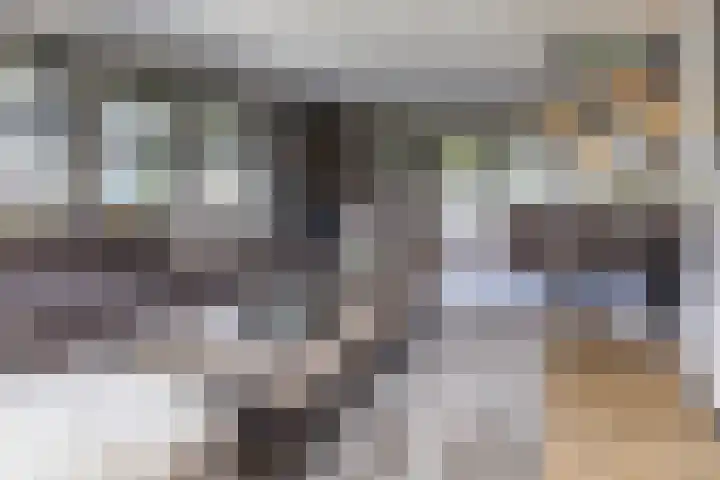 Halve Raak 49 Boskoop thumbnail 7