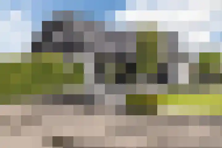 Halve Raak 49 Boskoop thumbnail 70
