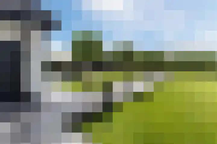Halve Raak 49 Boskoop thumbnail 71