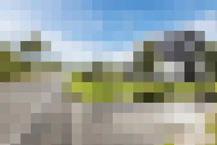 Halve Raak 49 Boskoop thumbnail 73