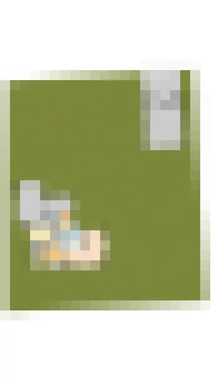 Halve Raak 49 Boskoop thumbnail 81