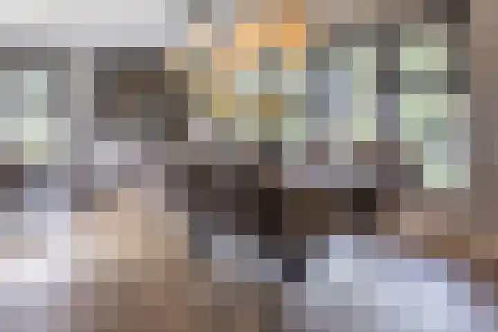 Halve Raak 49 Boskoop thumbnail 9