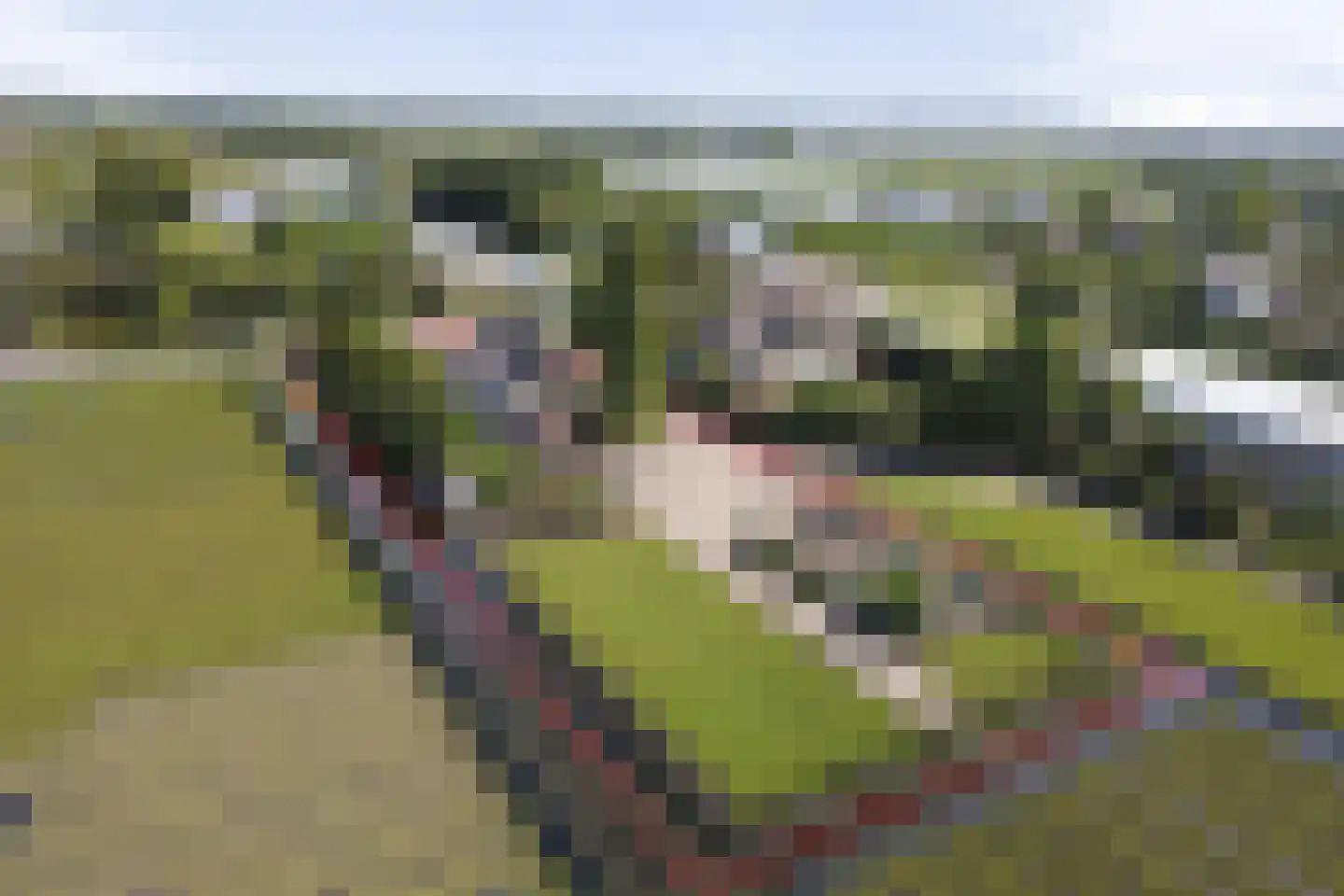 Halve Raak 61 Boskoop thumbnail 4