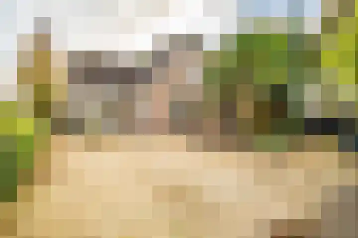 Halve Raak 97 Boskoop