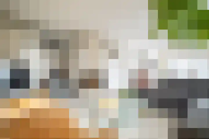 Halve Raak 97 Boskoop thumbnail 15