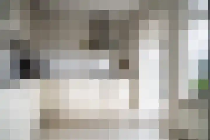 Halve Raak 97 Boskoop thumbnail 20
