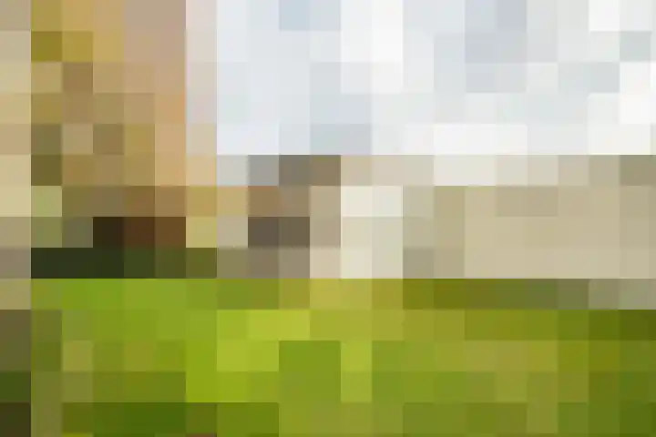 Halve Raak 97 Boskoop thumbnail 22