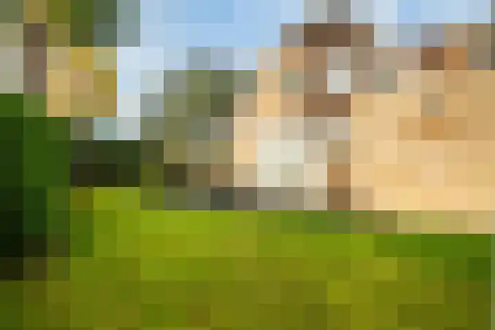 Halve Raak 97 Boskoop thumbnail 23