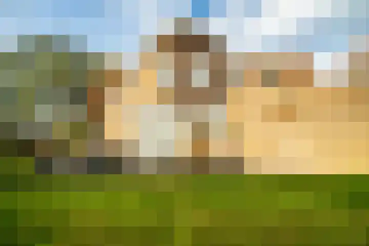 Halve Raak 97 Boskoop thumbnail 24