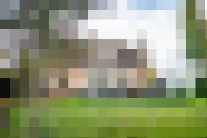 Halve Raak 97 Boskoop thumbnail 25