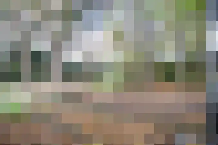 Halve Raak 97 Boskoop thumbnail 27