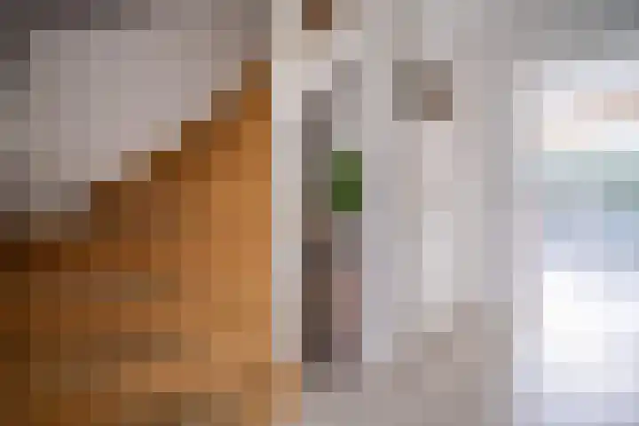Halve Raak 97 Boskoop thumbnail 38