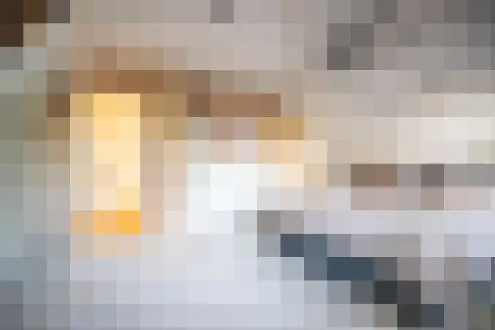 Halve Raak 97 Boskoop thumbnail 42