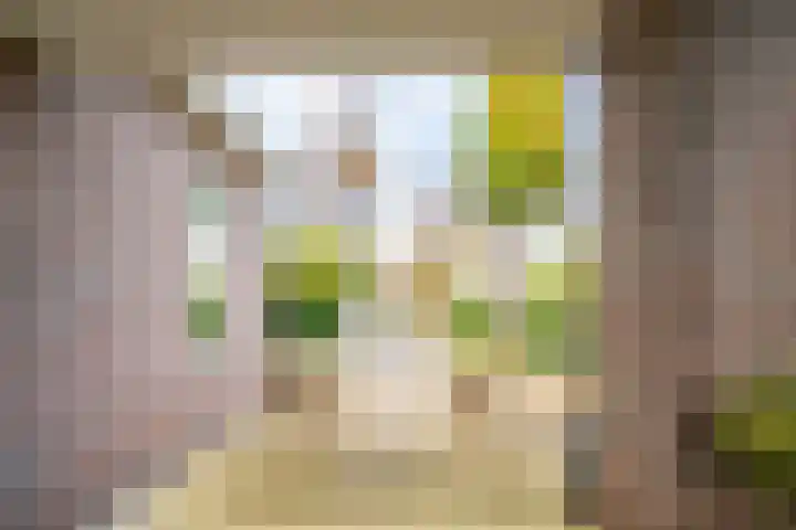 Halve Raak 97 Boskoop thumbnail 56