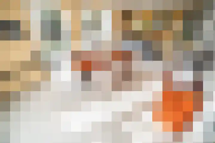 Halve Raak 97 Boskoop thumbnail 8