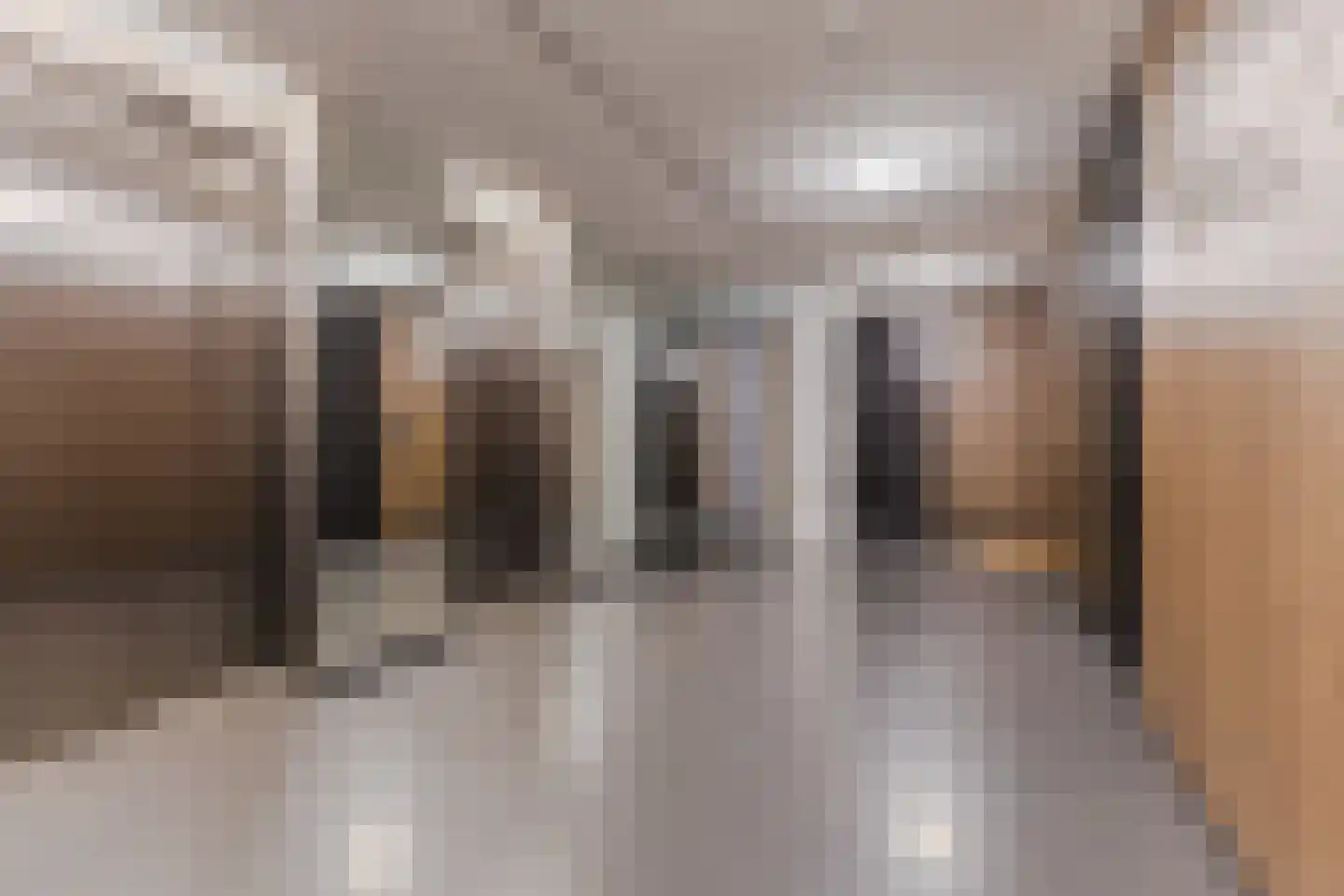 Halvemaanpassage 31 Rotterdam thumbnail 11