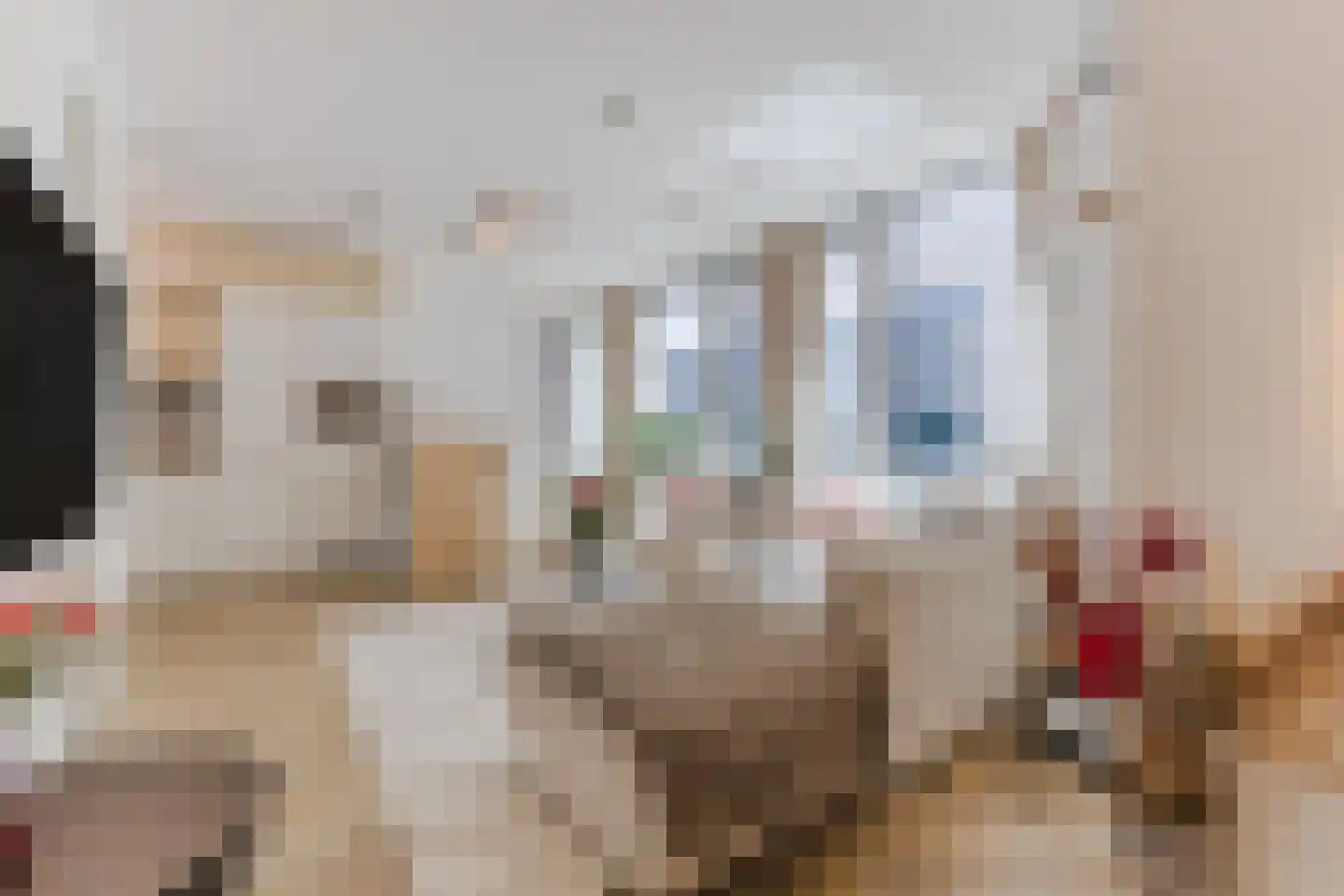 Halvemaanpassage 31 Rotterdam thumbnail 17