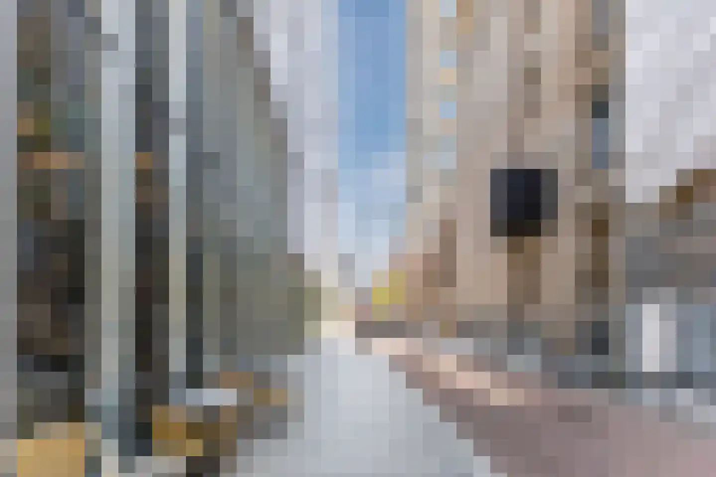Halvemaanpassage 31 Rotterdam thumbnail 7