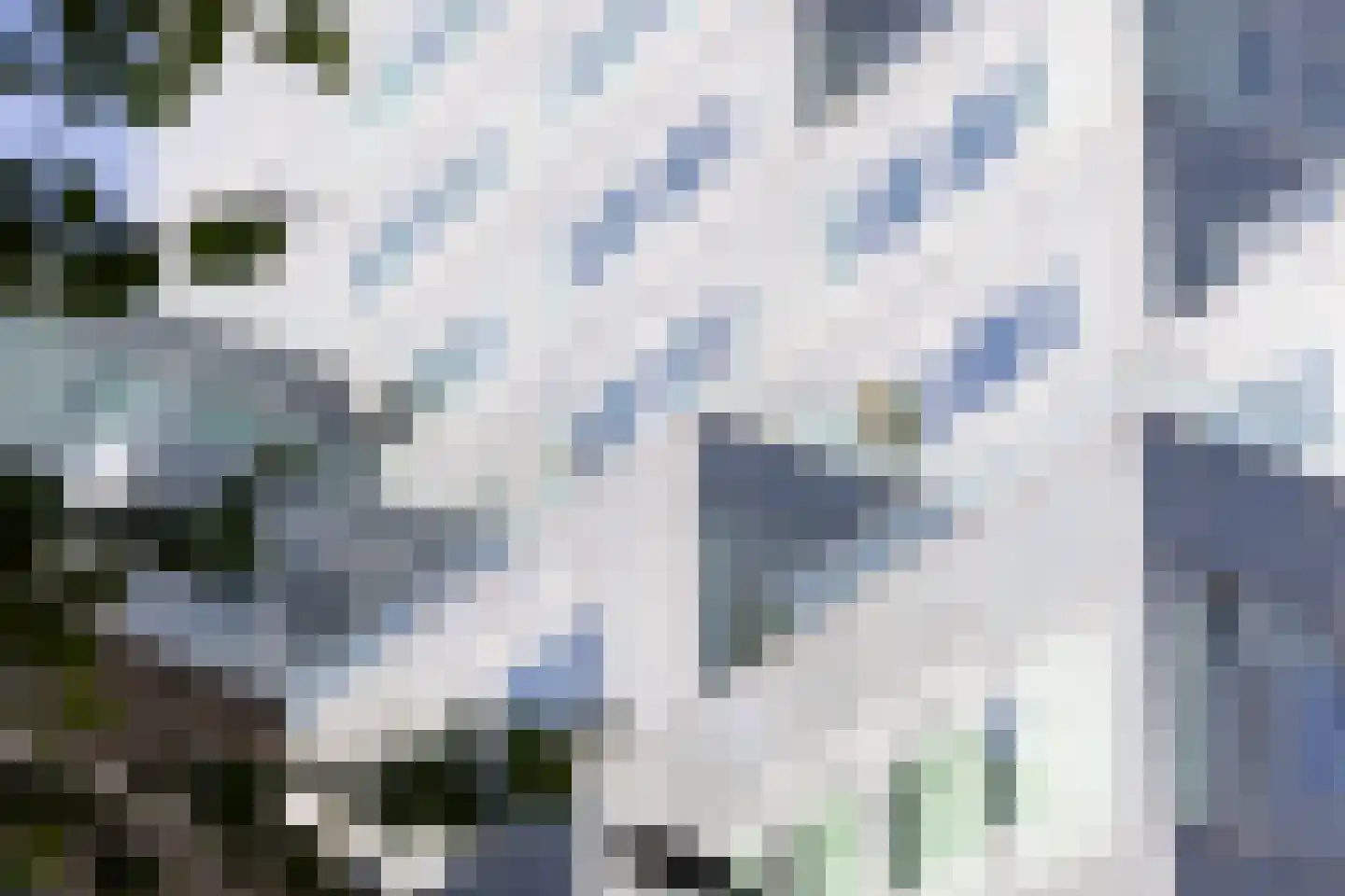 Halvemaanpassage 33 Rotterdam thumbnail 5